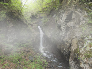 Waterfall and fresh green